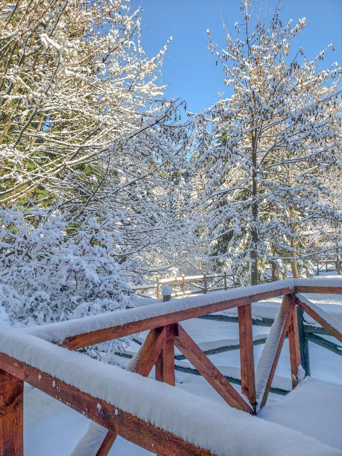 Guest Rooms- Klepalski House Borovets Esterno foto