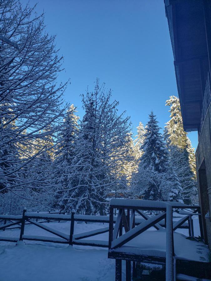 Guest Rooms- Klepalski House Borovets Esterno foto