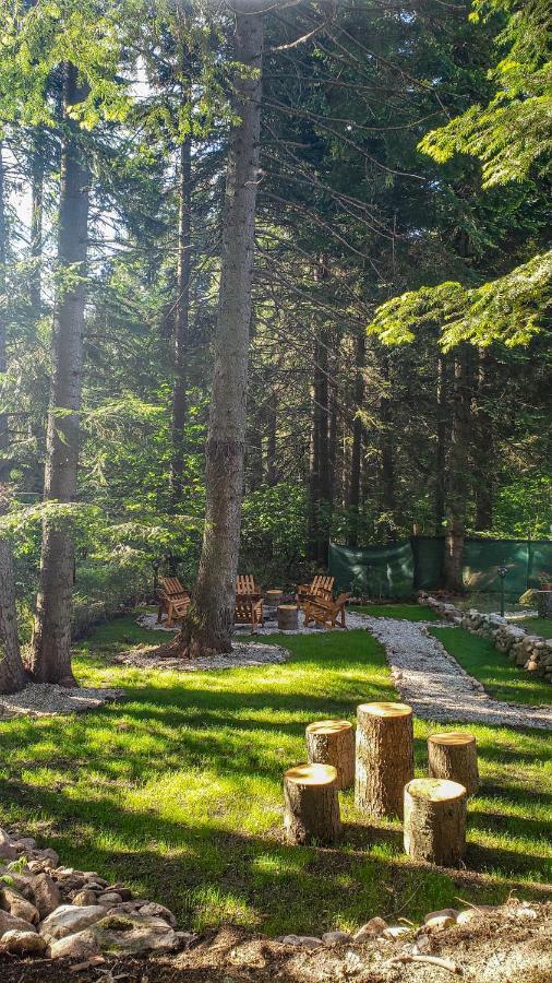 Guest Rooms- Klepalski House Borovets Esterno foto