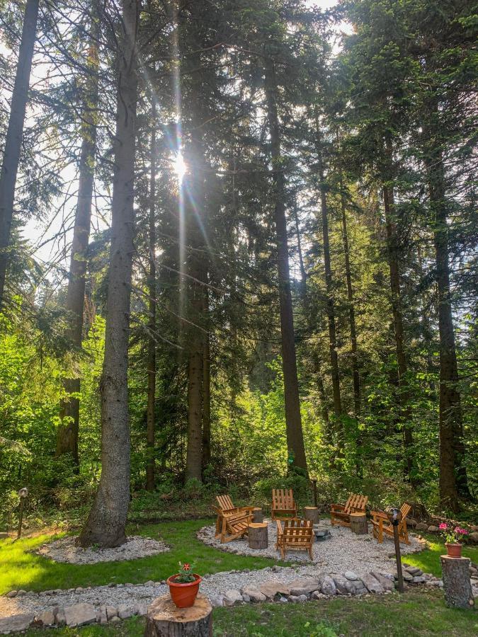 Guest Rooms- Klepalski House Borovets Esterno foto
